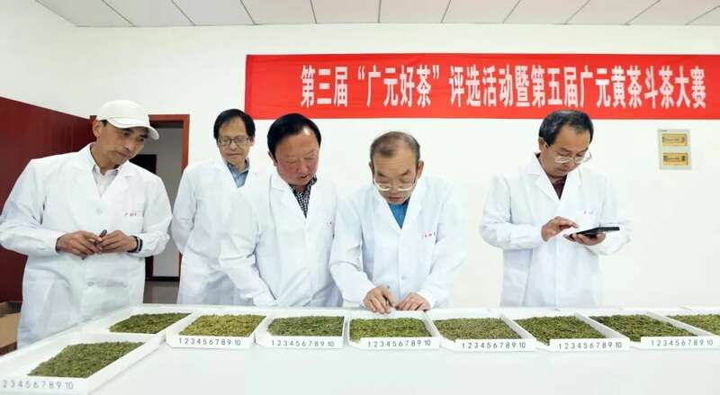 斗出一片江湖！46款广元“金奖茶”新鲜出炉