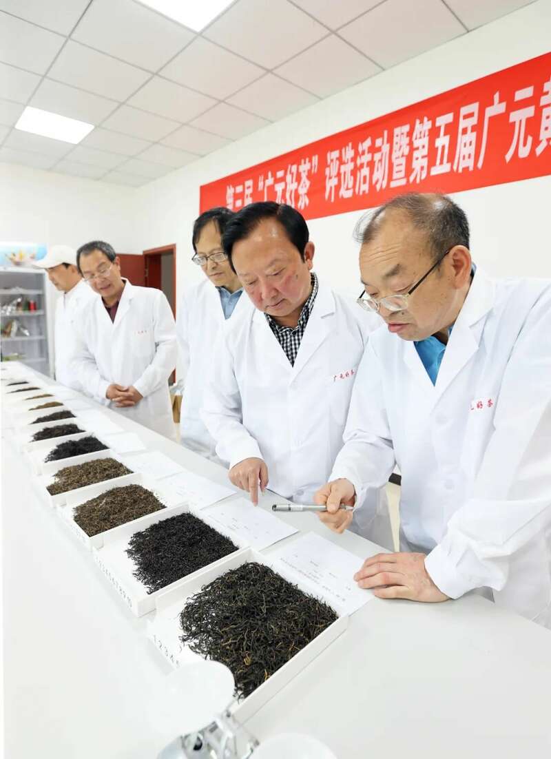 斗出一片江湖！46款广元“金奖茶”新鲜出炉