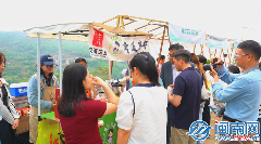 2025安溪铁观音开茶季活动举办