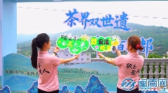 2025安溪铁观音开茶季活动举办