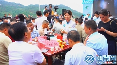 2025安溪铁观音开茶季活动举办