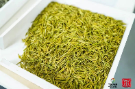 领航品质新高度！“中茶杯”第十五届国际鼎承茶王赛春季赛报名进行中