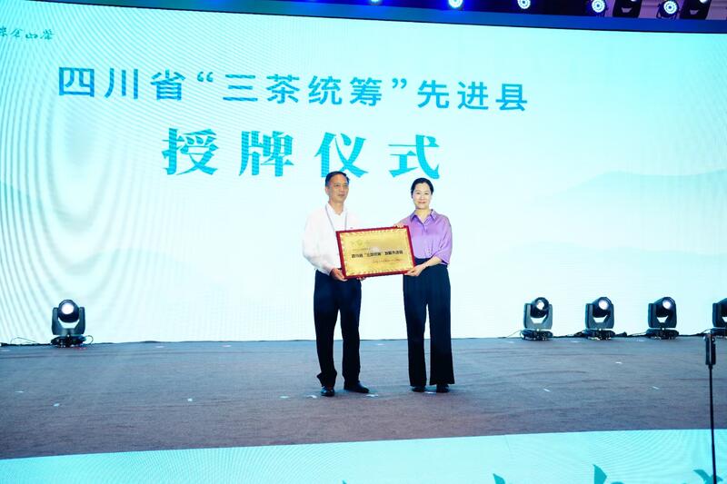 千亿茶单启航！广元旺苍茶叶再吸金，交易双IP联动，聚势共赢