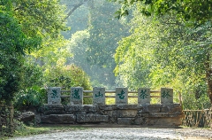 第十七届云茶博览交易会新闻发布会召开