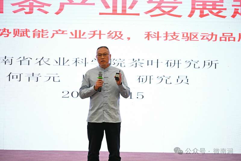 专家学者齐聚南涧共商白茶产业发展大计