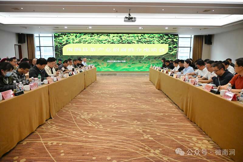 专家学者齐聚南涧共商白茶产业发展大计