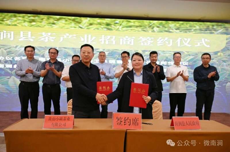 专家学者齐聚南涧共商白茶产业发展大计