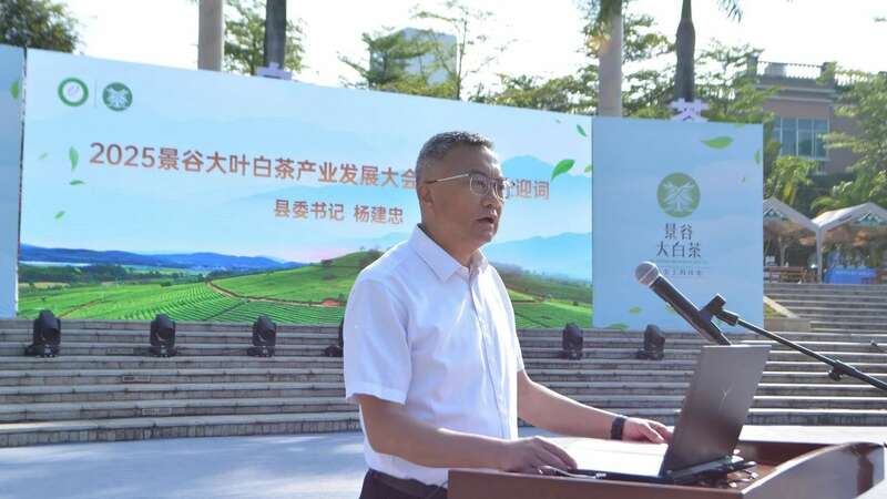 2025景谷大叶白茶产业发展大会开幕