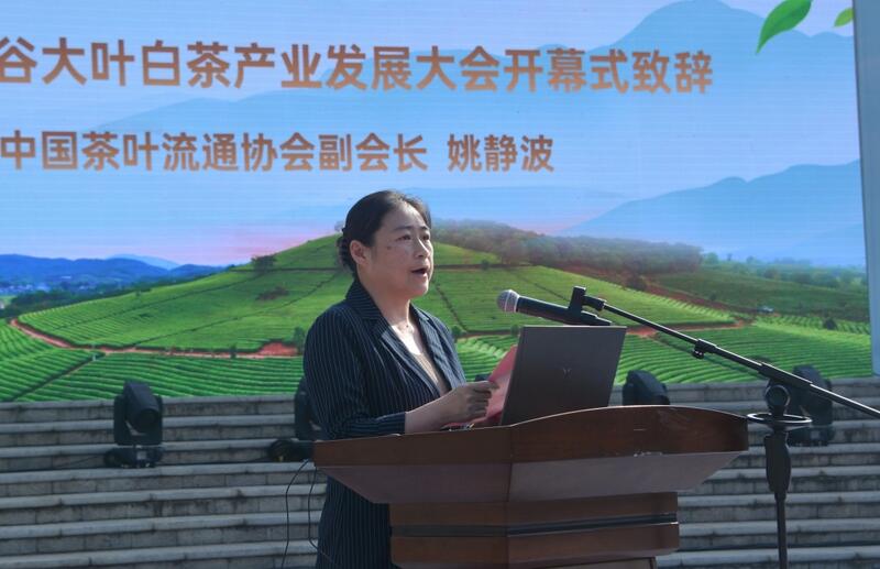 2025景谷大叶白茶产业发展大会开幕