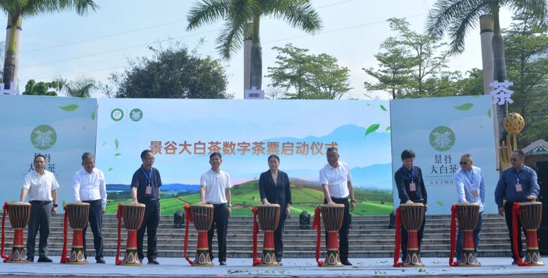 2025景谷大叶白茶产业发展大会开幕