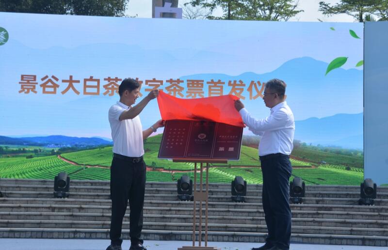 2025景谷大叶白茶产业发展大会开幕