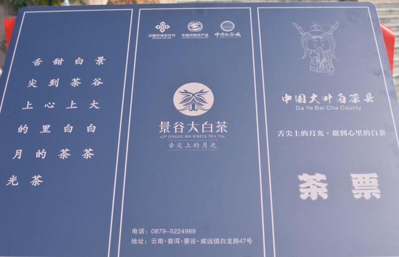 2025景谷大叶白茶产业发展大会开幕