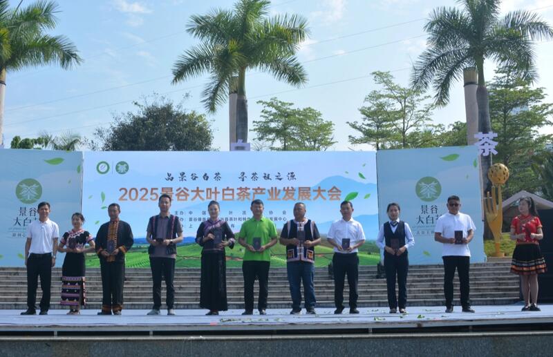 2025景谷大叶白茶产业发展大会开幕