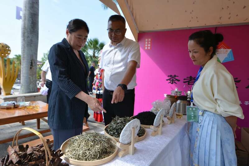 2025景谷大叶白茶产业发展大会开幕