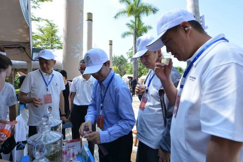 2025景谷大叶白茶产业发展大会开幕