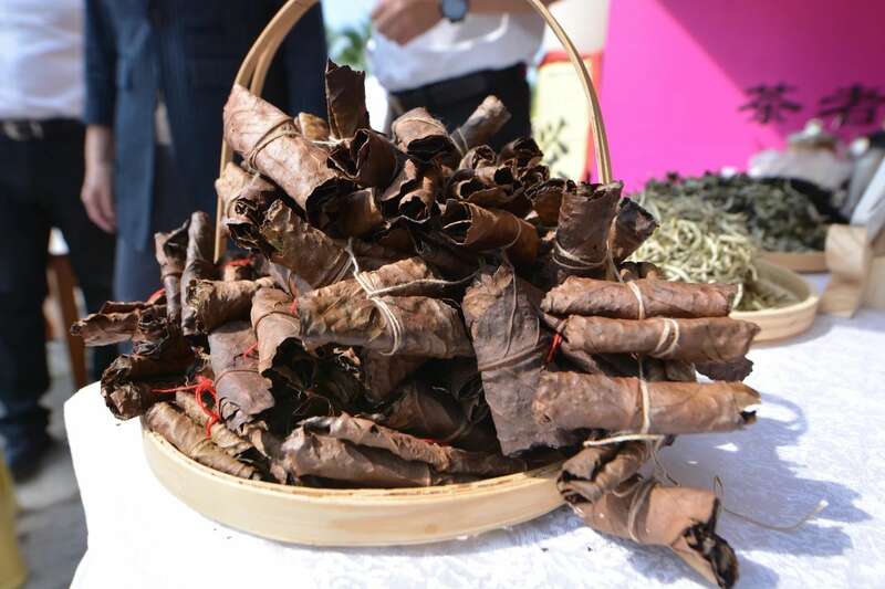 2025景谷大叶白茶产业发展大会开幕