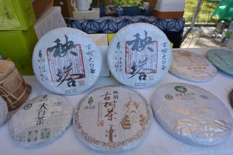 2025景谷大叶白茶产业发展大会开幕