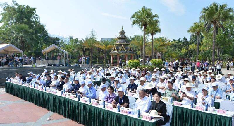 2025景谷大叶白茶产业发展大会开幕