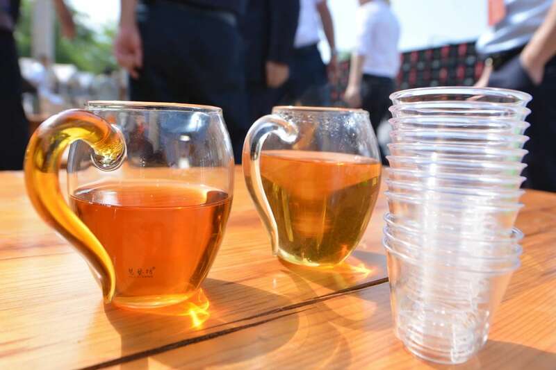 2025景谷大叶白茶产业发展大会开幕