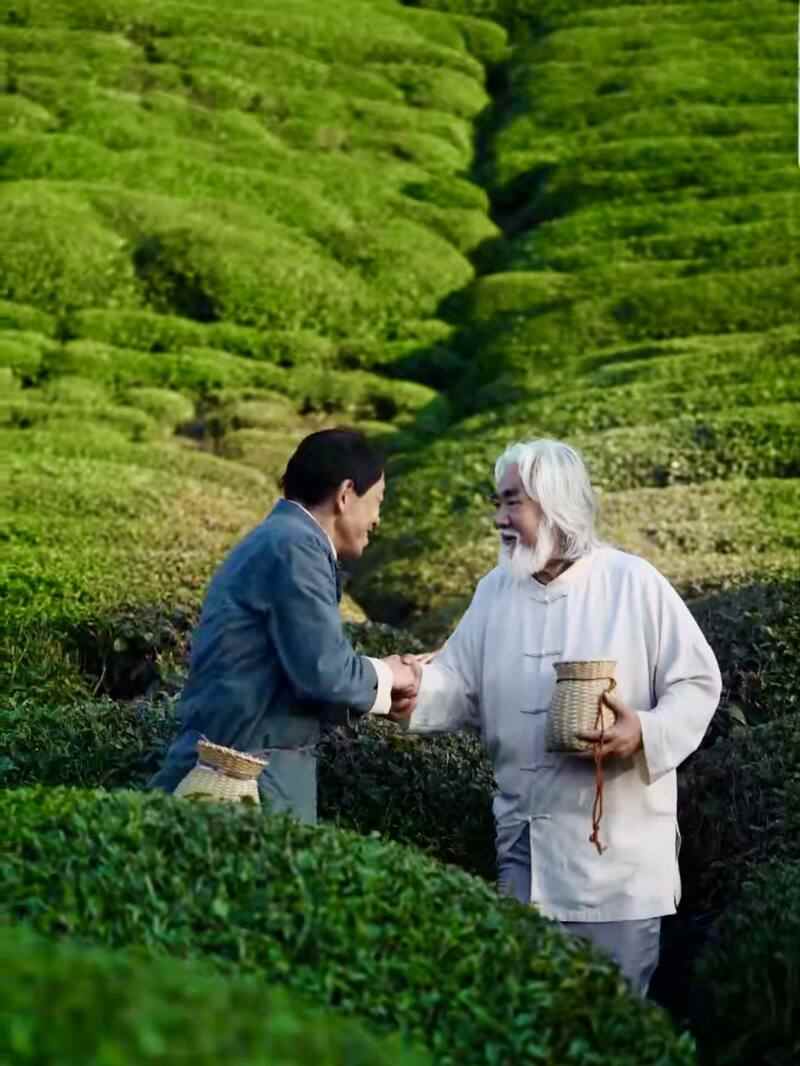 千岛湖茶香溢四海，茶旅融合谱新篇