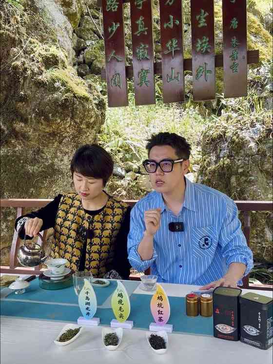 千岛湖茶香溢四海，茶旅融合谱新篇