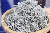 藤茶正式纳入医保！茶行业保障再升级