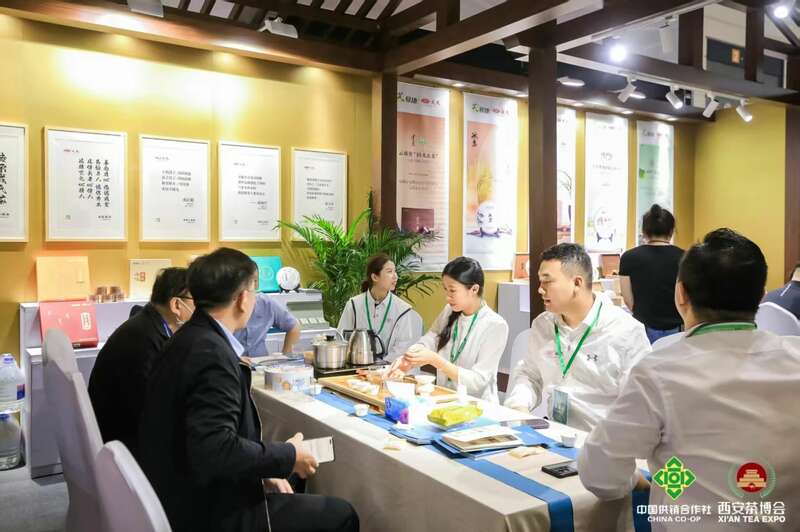 2025西部春茶采购大会即将启幕！跨界赋能春茶消费新场景！