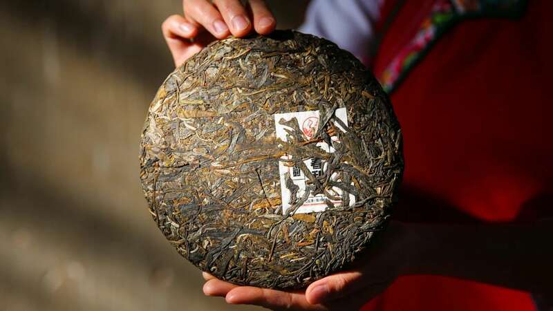 下关2024·复春和号 冰岛老寨古树圆茶