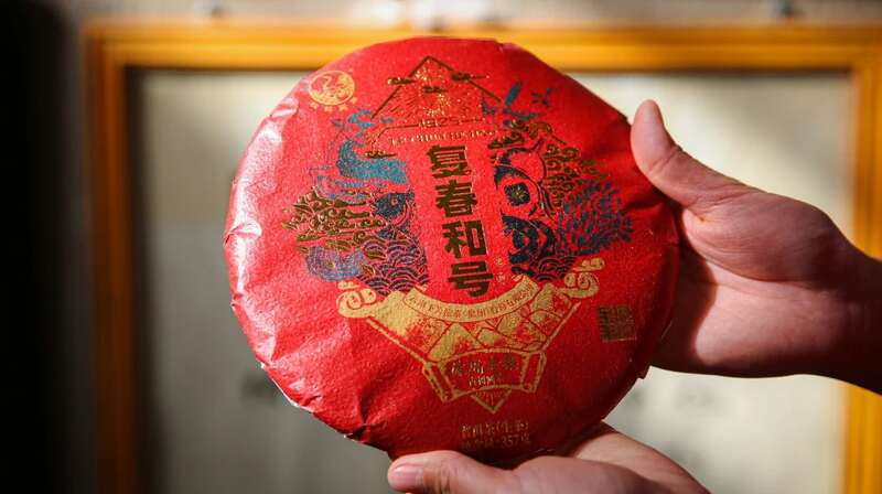 下关2024·复春和号 冰岛老寨古树圆茶