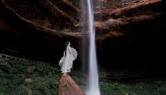 古韵新章！斗茶盛会共鉴紫茶风华