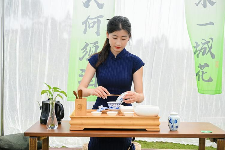 古韵新章！斗茶盛会共鉴紫茶风华