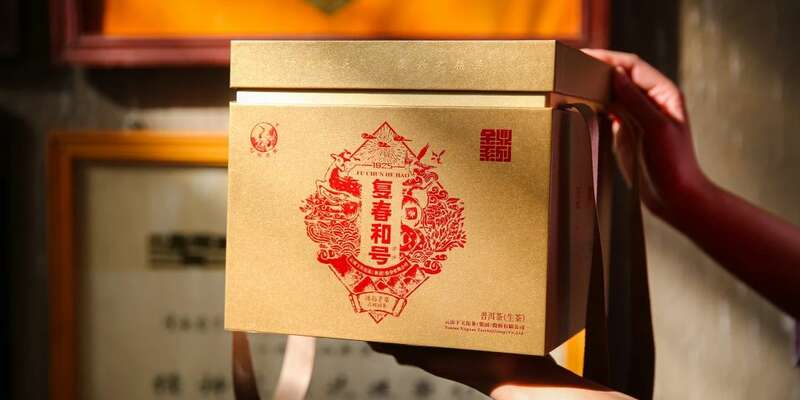 下关2024·复春和号 冰岛老寨古树圆茶