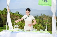 古韵新章！斗茶盛会共鉴紫茶风华