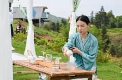 古韵新章！斗茶盛会共鉴紫茶风华