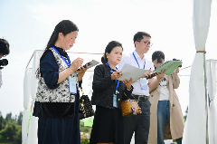 古韵新章！斗茶盛会共鉴紫茶风华