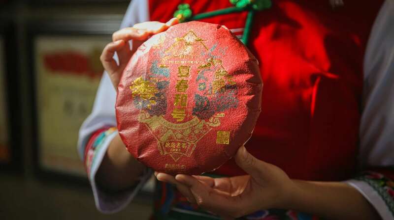 下关2024·复春和号 冰岛老寨古树圆茶