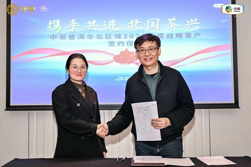 中茶云南华北区域 2025 年度战略客户研讨会成果丰硕