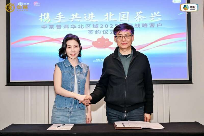 中茶云南华北区域 2025 年度战略客户研讨会成果丰硕