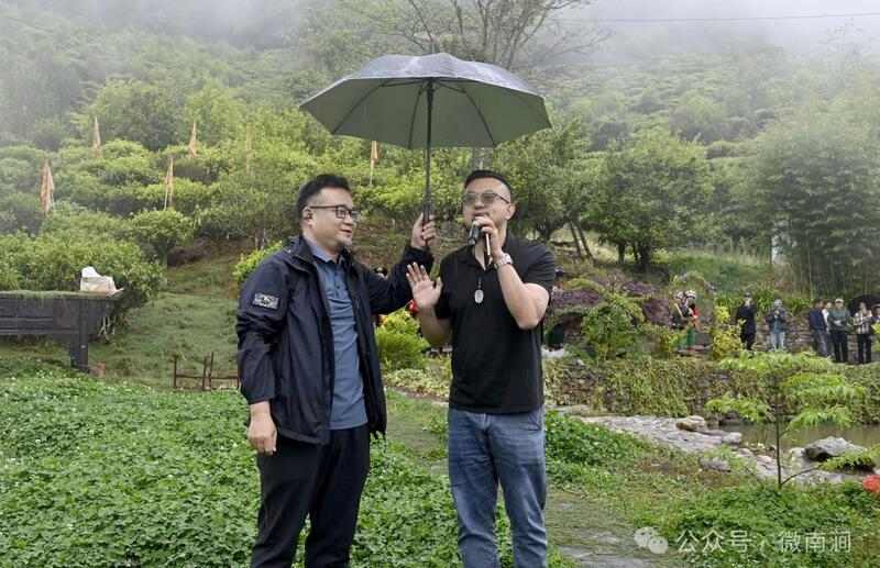 南涧白茶自然甜  