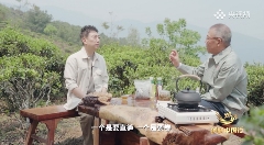 钟睒睒央视《对话》直言：云南茶业发展不能全民做“劳力士”