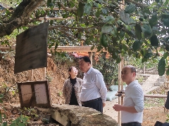 2025年重点产茶县域交流活动昌宁红茶高质量发展大会成功举办