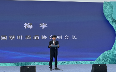 2025年重点产茶县域交流活动昌宁红茶高质量发展大会成功举办