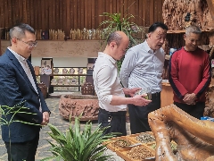 2025年重点产茶县域交流活动昌宁红茶高质量发展大会成功举办