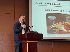 2025年重点产茶县域交流活动昌宁红茶高质量发展大会成功举办