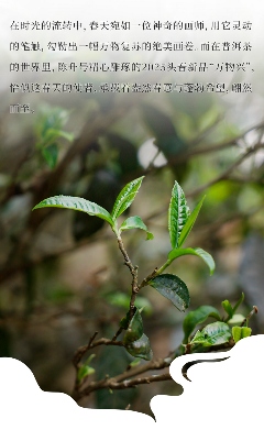 陈升号2025年头春新品“万物兴”面市