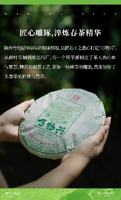 陈升号2025年头春新品“万物兴”面市