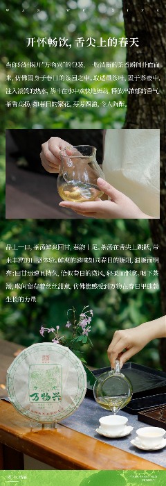 陈升号2025年头春新品“万物兴”面市