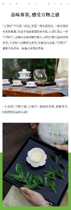 陈升号2025年头春新品“万物兴”面市