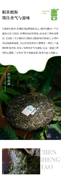 陈升号2025年头春新品“万物兴”面市