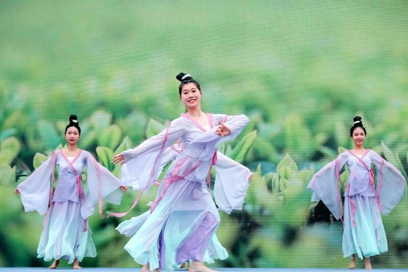 “紫”气东来！沐川紫茶盛宴即将启幕！